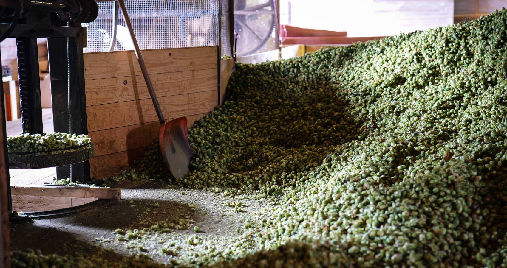 Hop Farm Visit