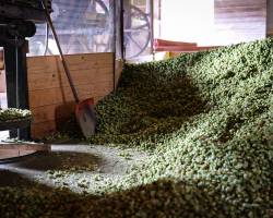 Hop Farm Visit