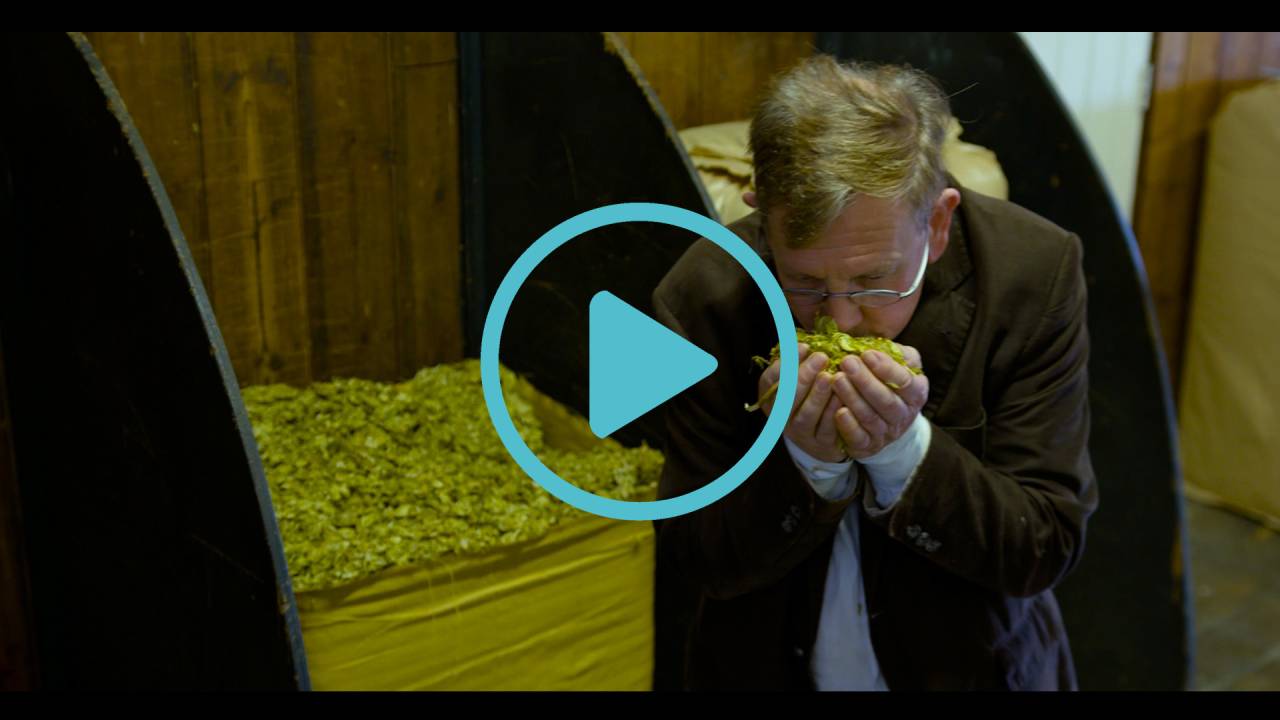 Harvey's Virtual Brewery Tour